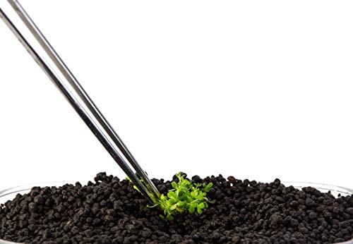 NJ Long Feeding Tongs Aquarium Tweezers, Stainless Steel Straight Aquascaping Tweezer for Fish Tank Aquatic Plants, Extra Long Tweezer :13" Long