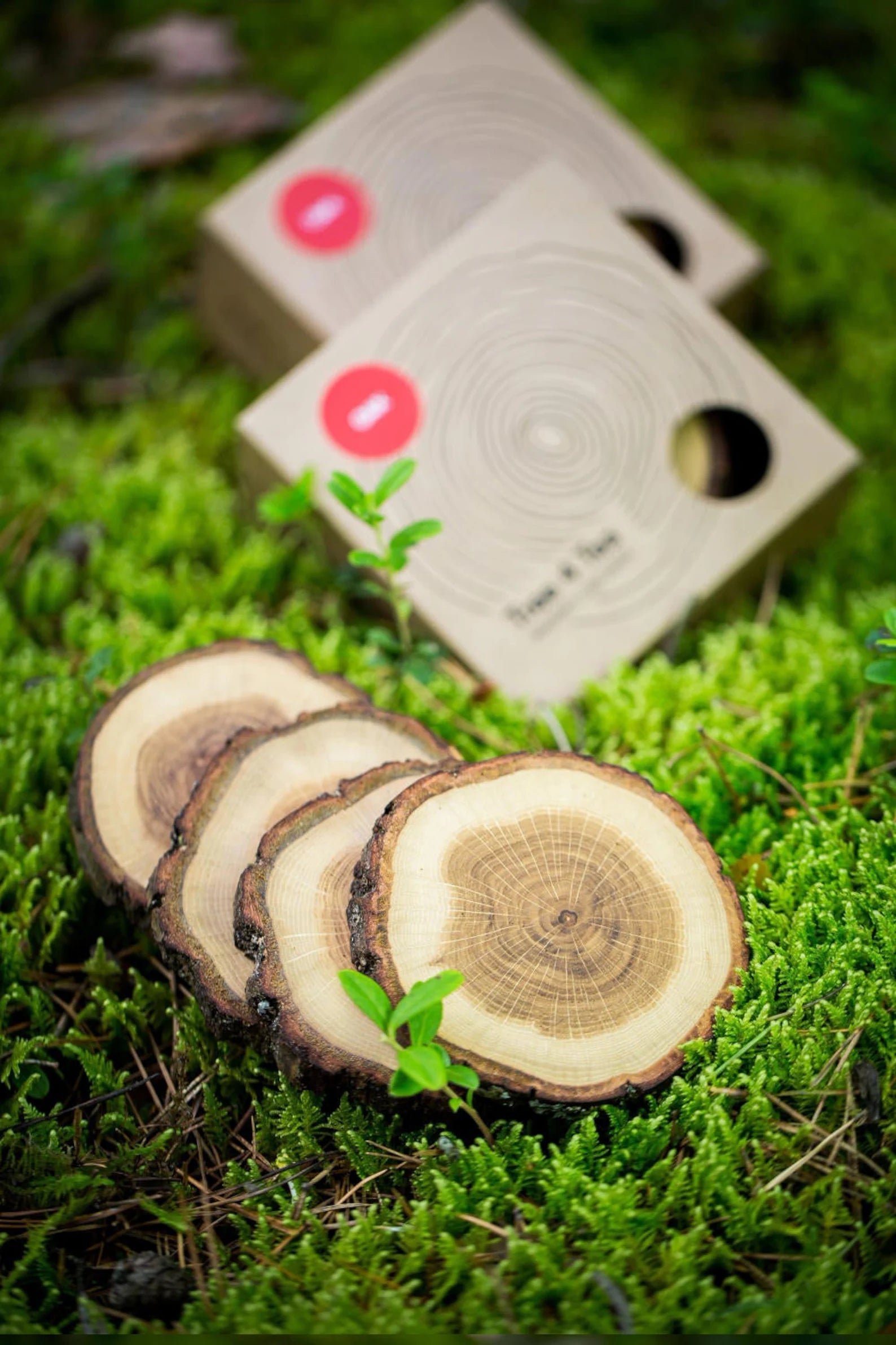 NJ Natural Wooden Log Coaster/Slices with Bark – 3 inch Wood Craft kit, DIY Crafts Coasters Christmas Rustic Wedding Decorations Wooden Handcrafted Coffee Coasters: 12 Pcs
